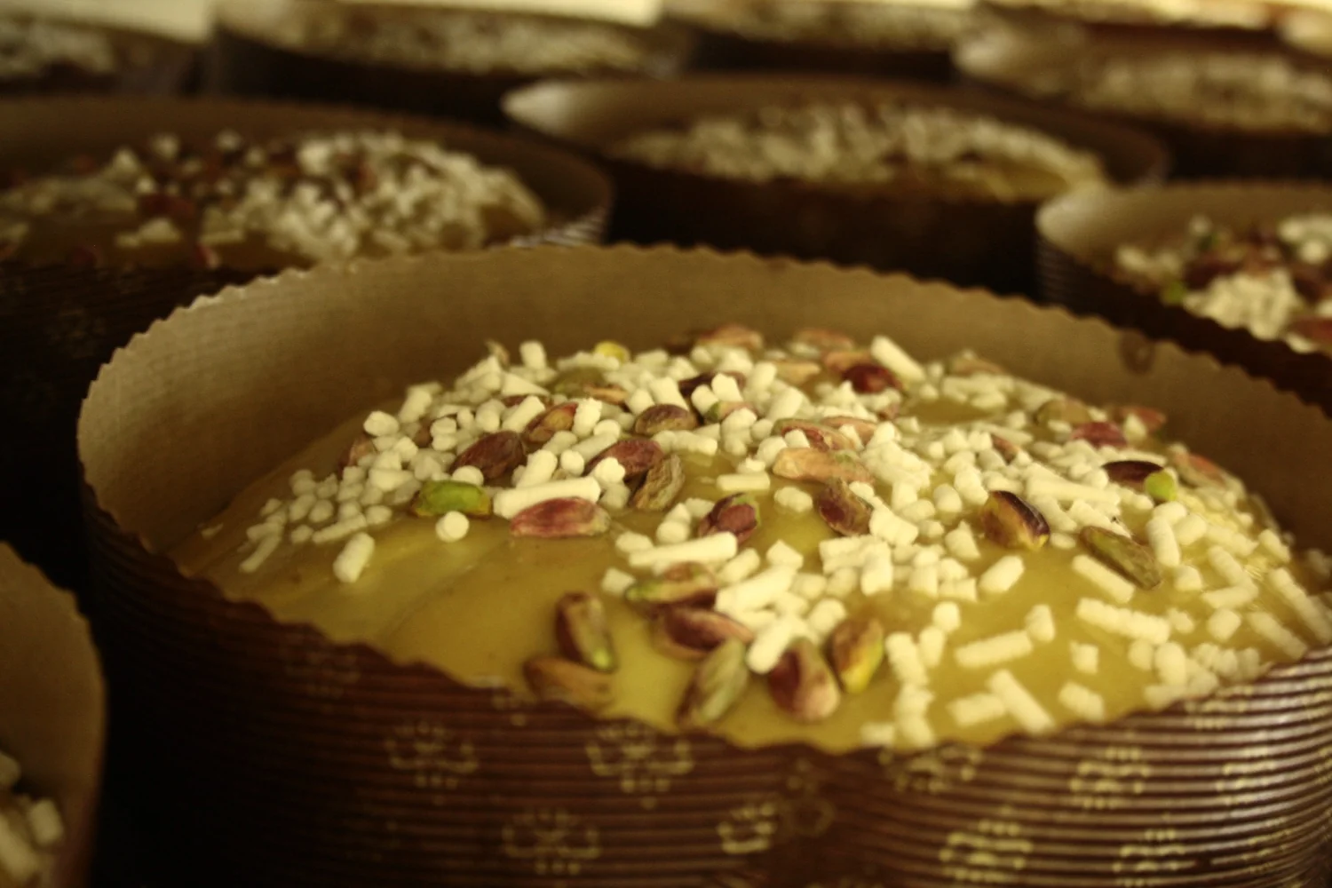 Panettone dough resting in paper moulds